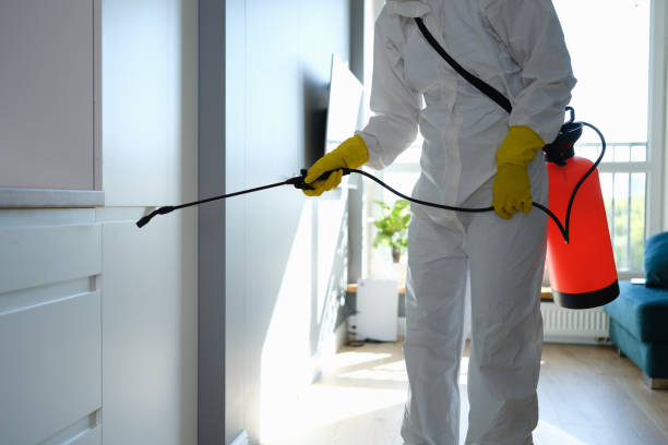 Best Mold Cleaning Services  in Ash Flat, AR