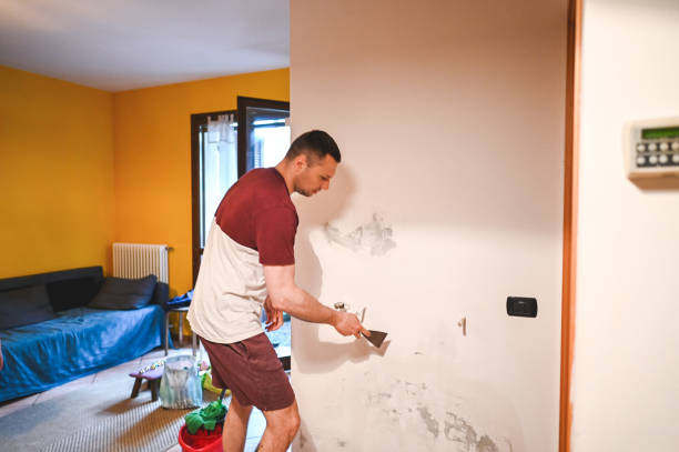 Best Office Mold Removal Services  in Ash Flat, AR